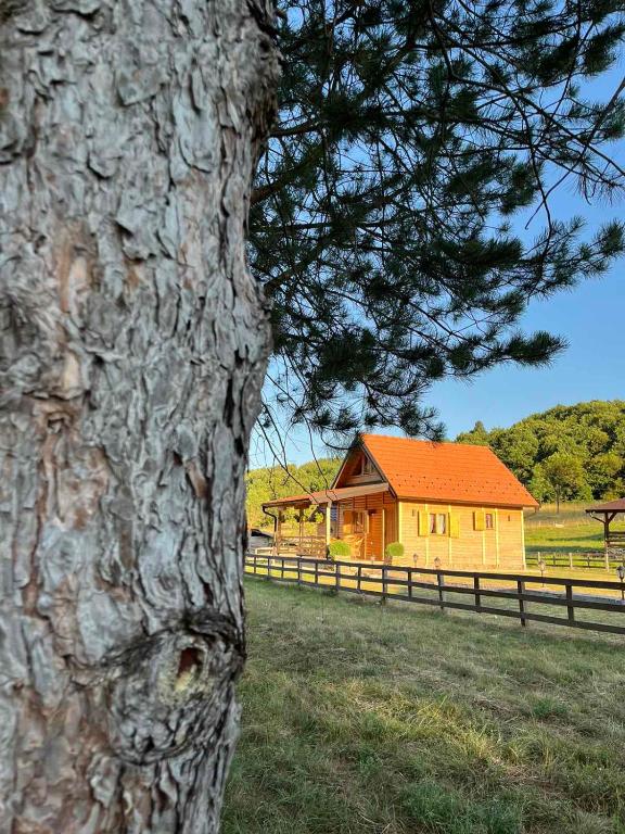 Drveni raj Lopatnice, Lopatnica