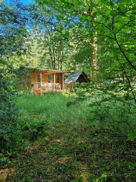 The Shack in the Woods, Redditch