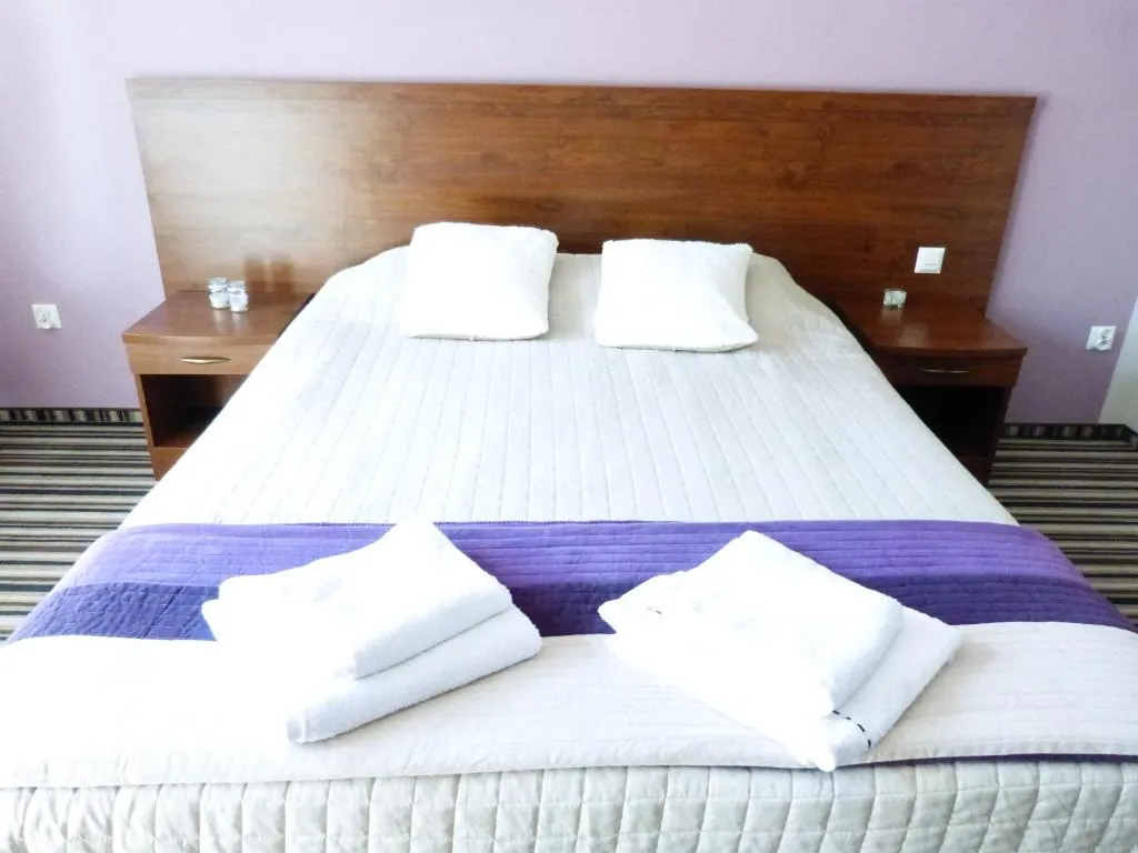 Hotel-Aramis，位于斯卡日斯科-卡缅纳的酒店