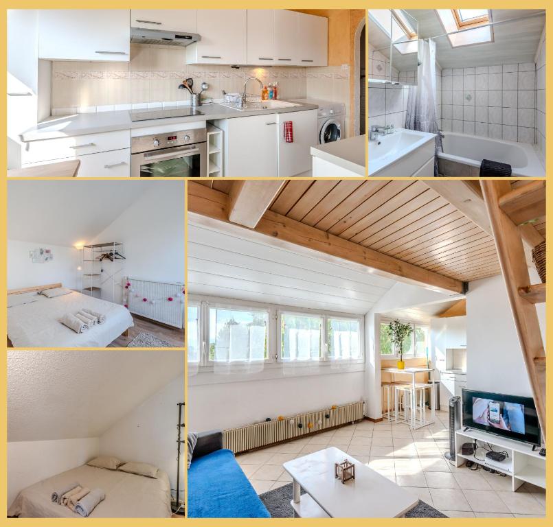 Chez Amel & Val I T2 I Annemasse - 3