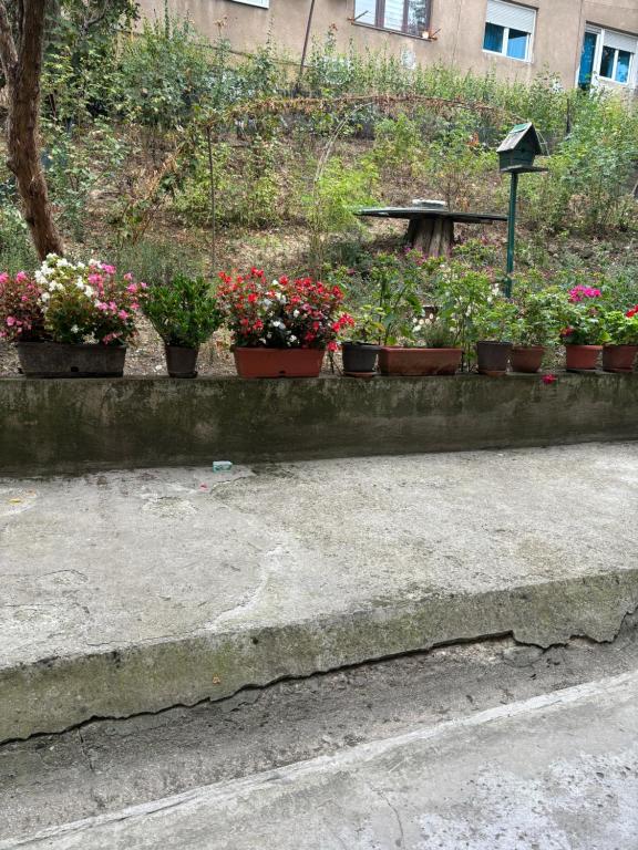 Apartman Tobias Tower Sarajevo - 3