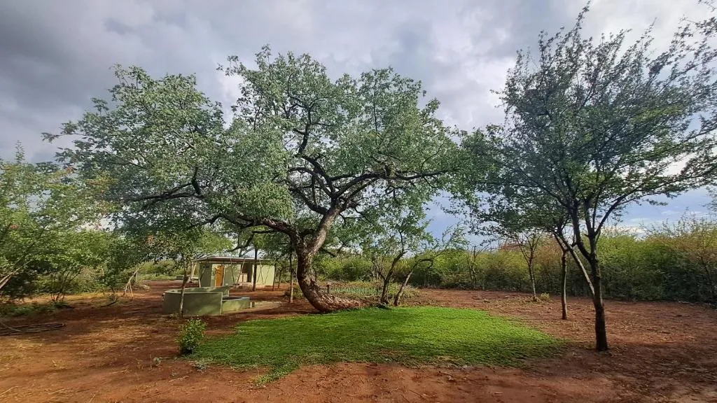 ZuriCamp - Campsite Safiri, hotel in Tsumeb
