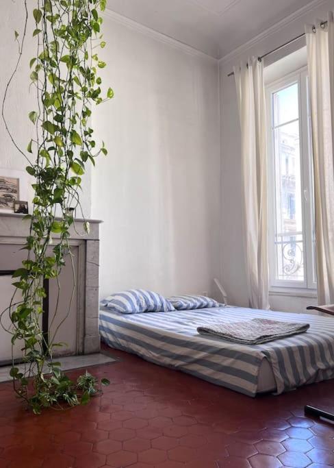Grand appartement lumineux - 3