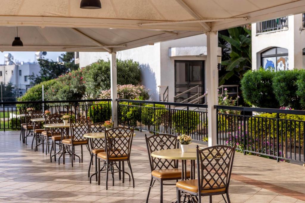 Seagull Hotel Apartments — Restaurant & bars in Protaras, Famagusta Region