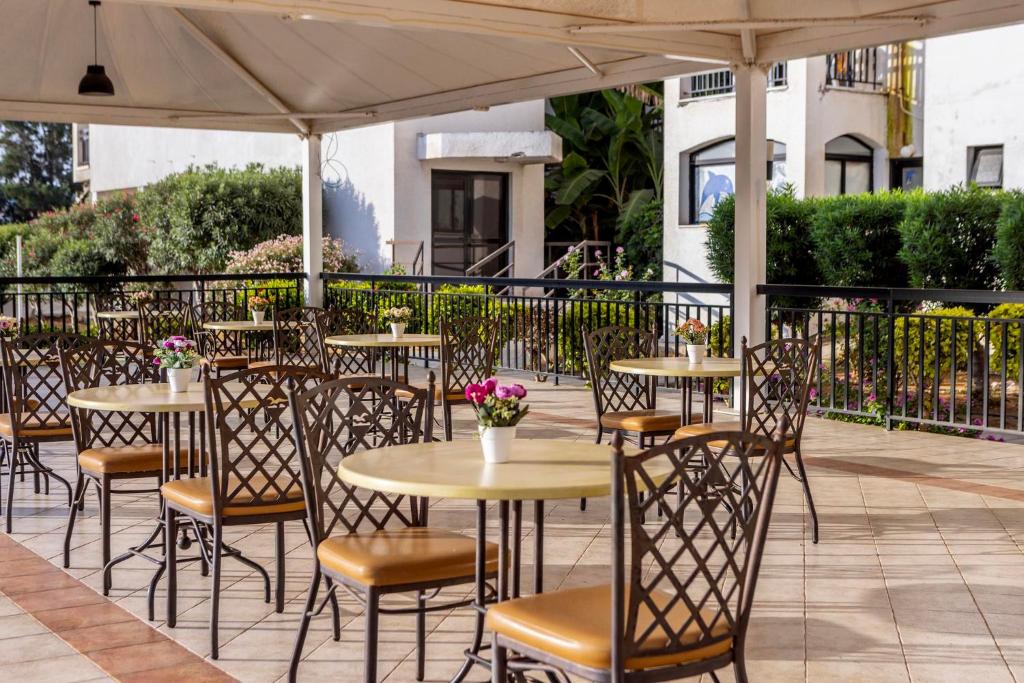 Seagull Hotel Apartments — Restaurant & bars in Protaras, Famagusta Region