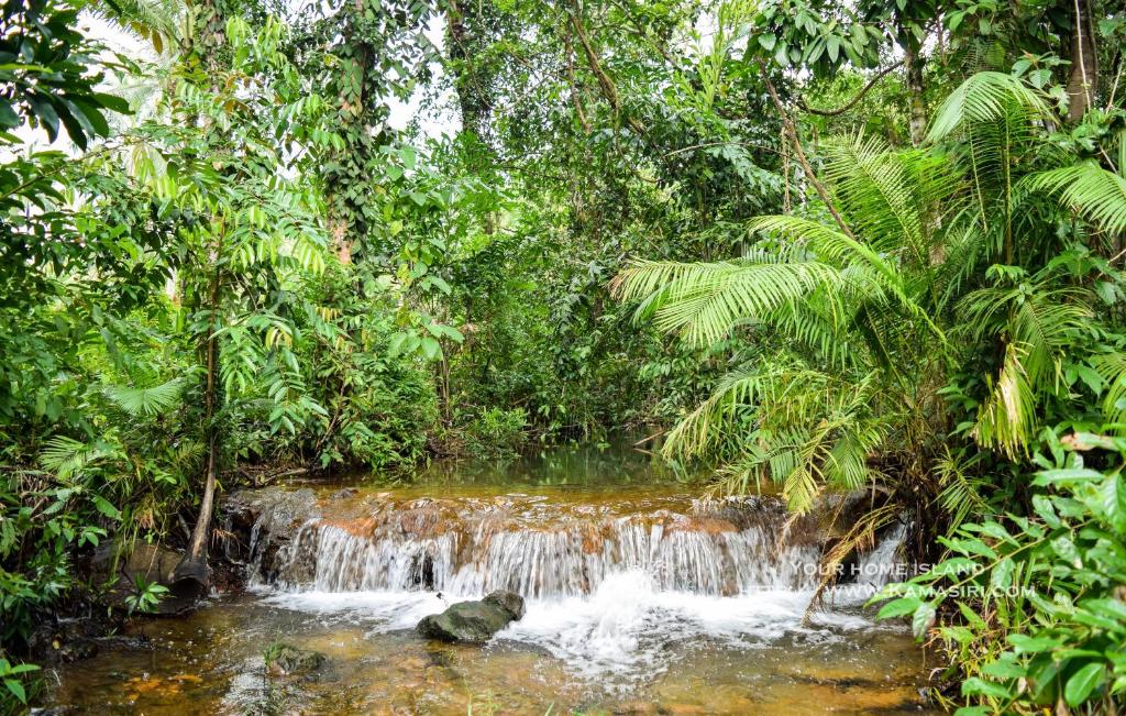 Surrounding environment