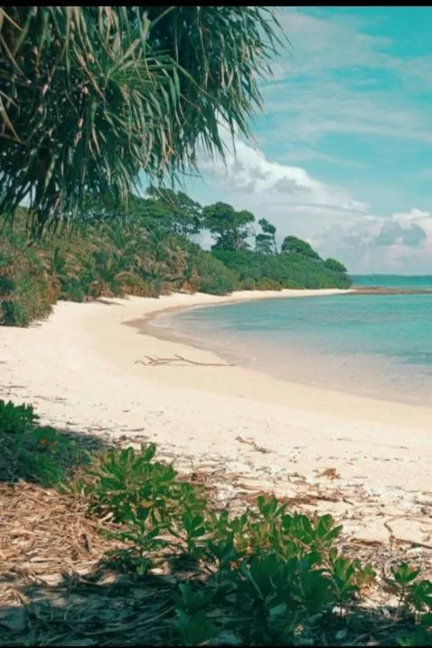 MALLICK PALACE Neil Island South Andaman，位于尼尔岛的酒店