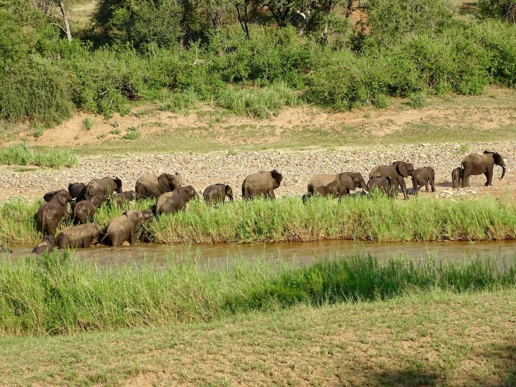 Emhosheni River Lodge photo