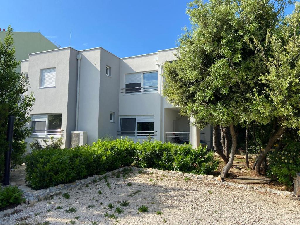 Apartments Jedro, Petrcane