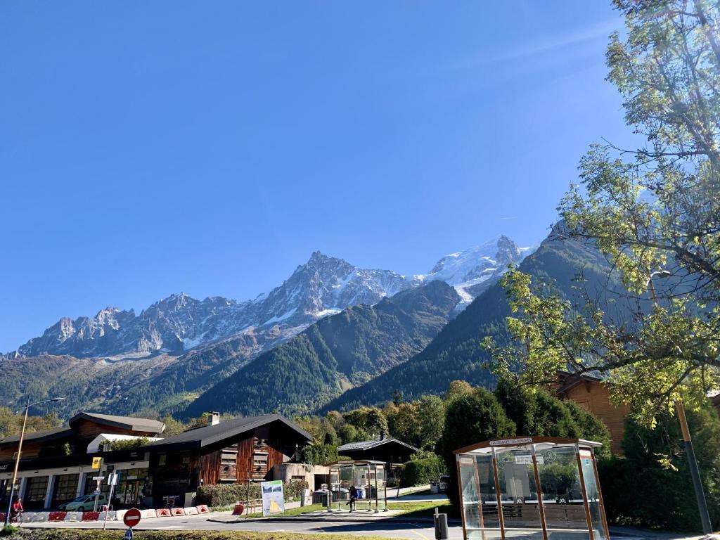 Cristal Des Alpes - Superb T3 - Vue Mont-Blanc - 4