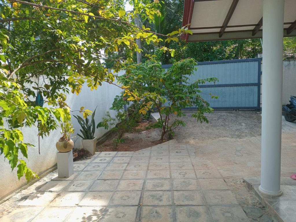 Mihinsa Guest, Kosgoda