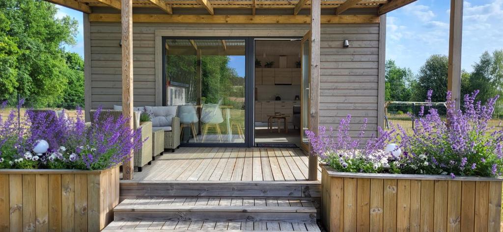 Dębowisko Sasino, Sasino