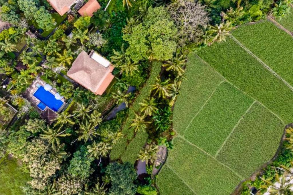 Fullara 1 BR Suite With Rice Field View ZN240, Ubud