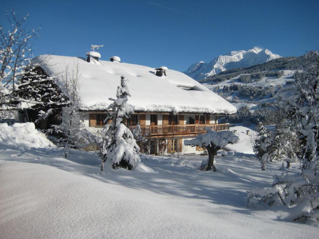 Chalet à Megève-Vauvray - Grands Appartements , vue Mont Blanc - 2