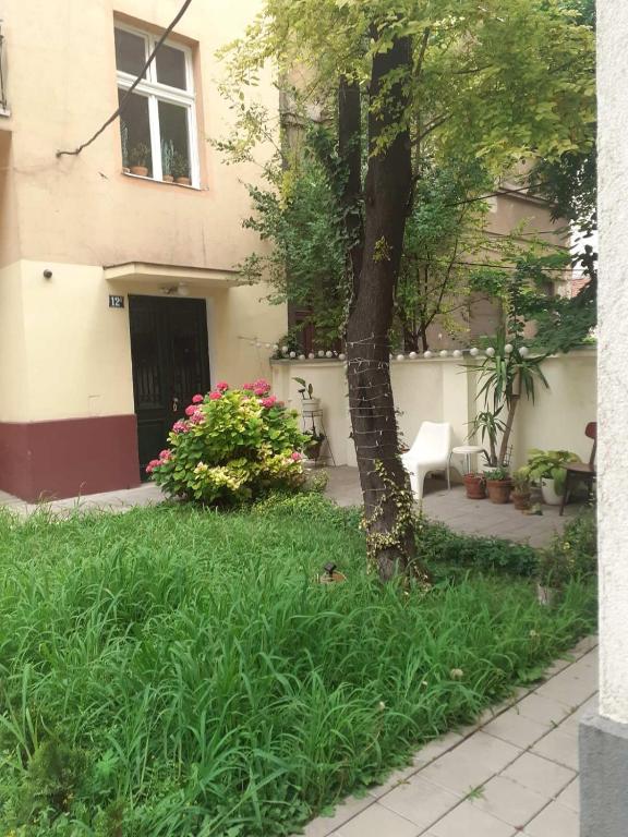 Classy and cozy near Tasmajdan park and Flower Piazza - 4