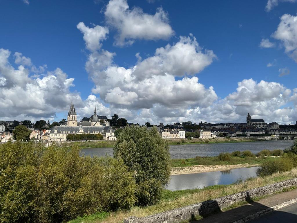 Gîtes des Cygnes vue sur Loire et linge inclus - 5