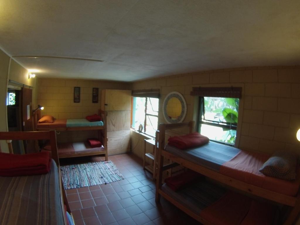 Bed in 6-Bed Mixed Dormitory Room