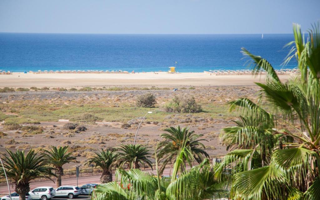 La Brisa Atlántica - 5