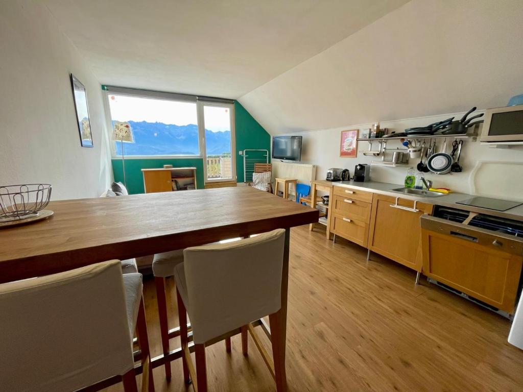 Appartement-magnifique terrasse - 2