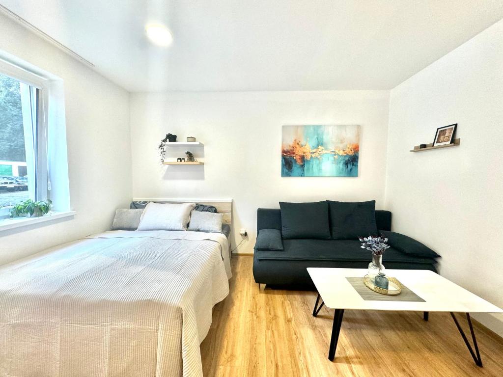 MlynApart Liberec, Liberec