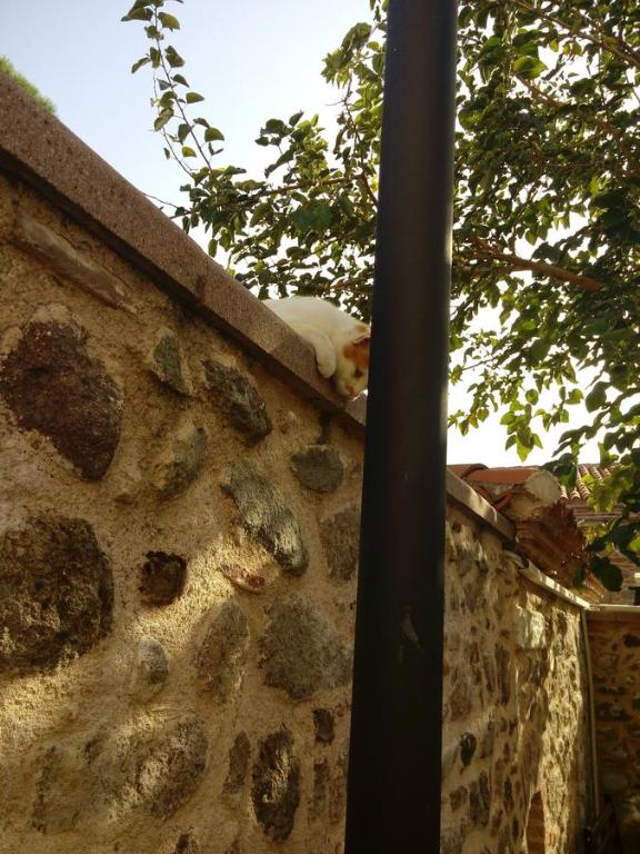 Aristonicus Boutique Hotel photo