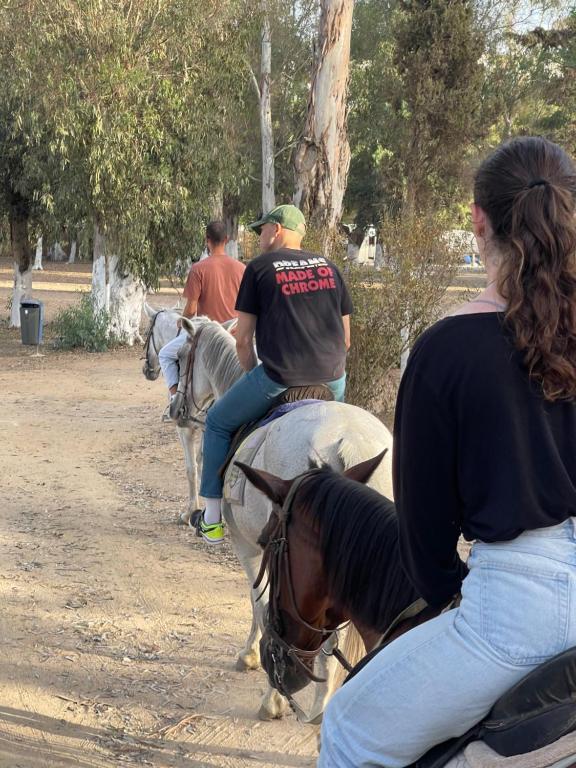 Horseback riding