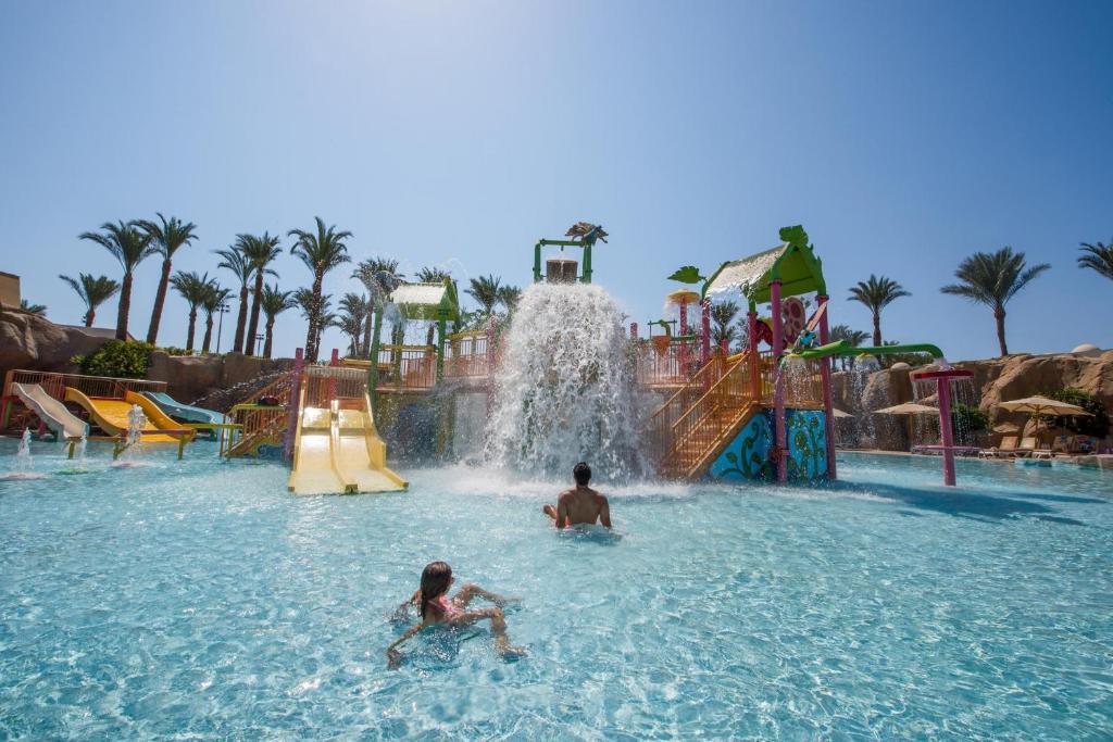 アクティビティ