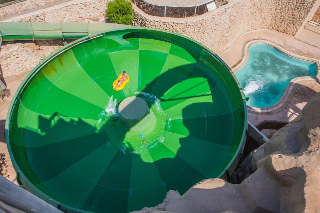 アクティビティ