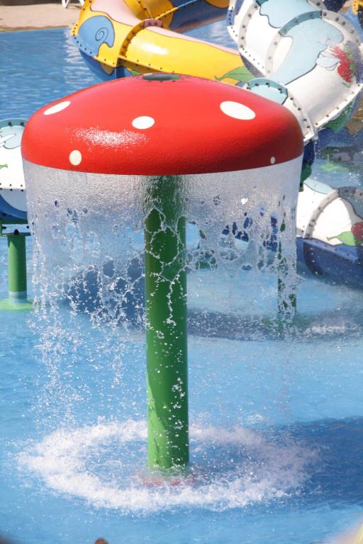 アクティビティ