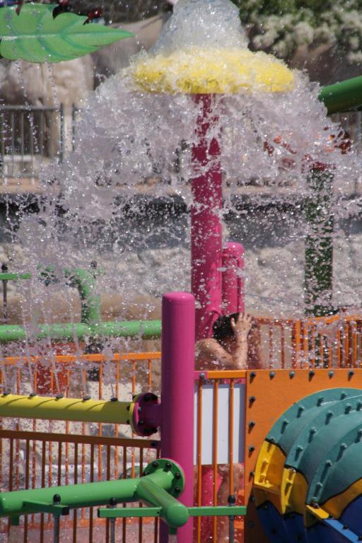 アクティビティ