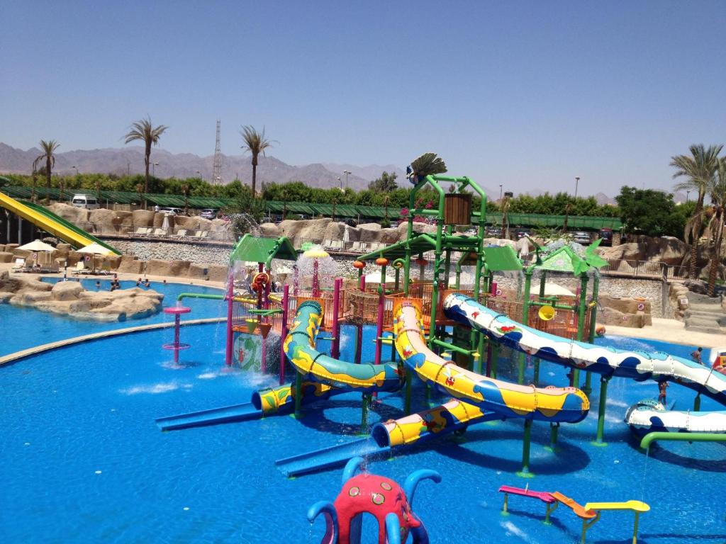 アクティビティ