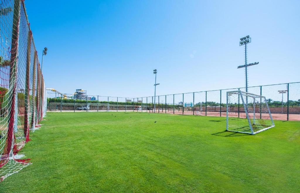 アクティビティ