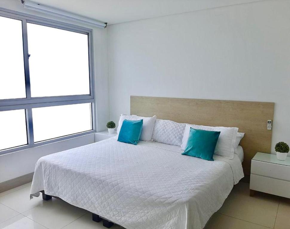 Palmetto Beach 1 habitacion - 3