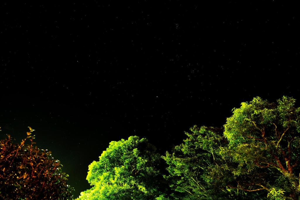 Surrounding environment