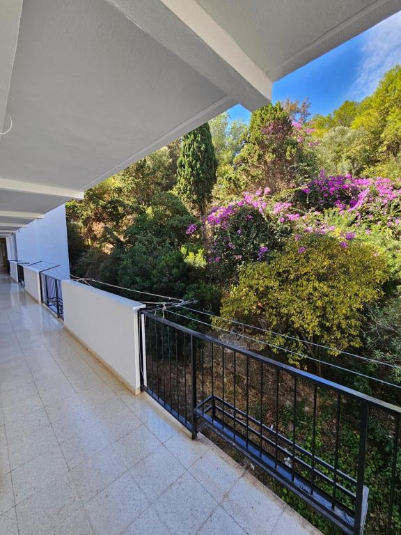 Apartamento Florido - 3