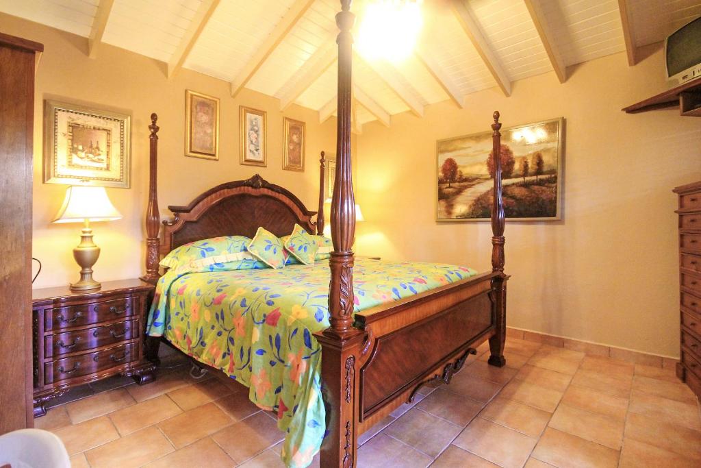 ジュニア　ガーデン　スタジオ