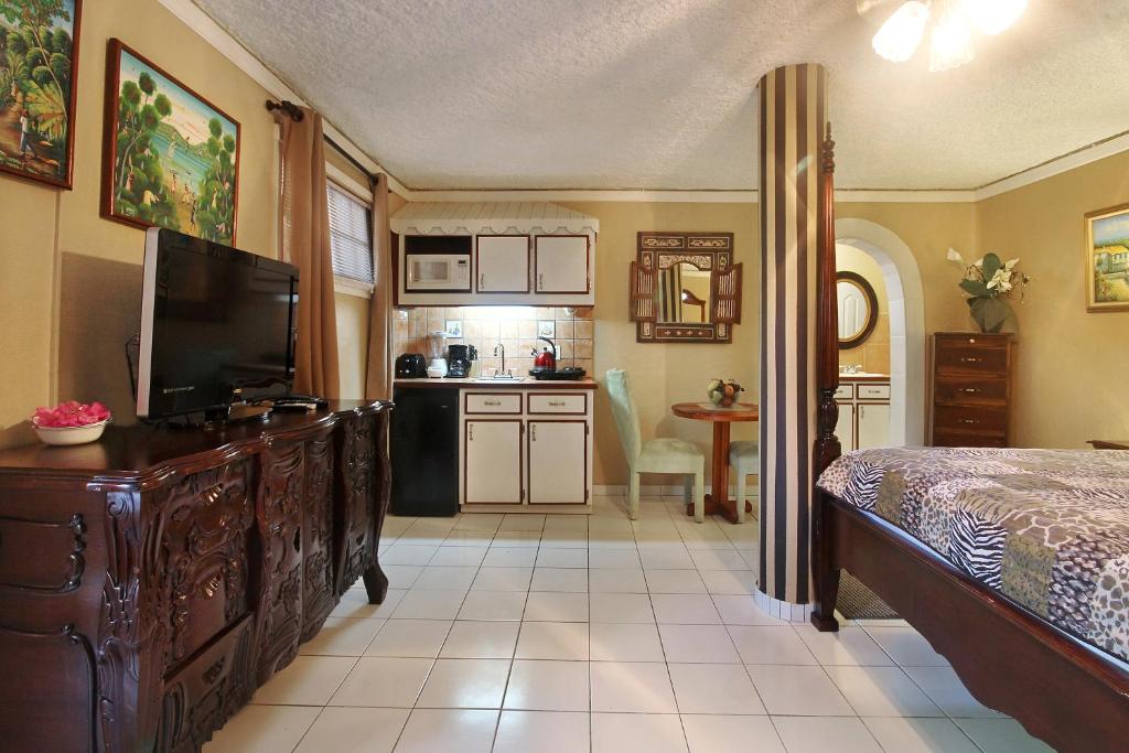 階下　ガーデン　スタジオ　半地下階