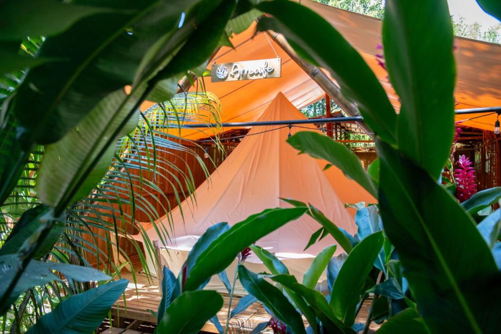 Seren Glamping, Uvita