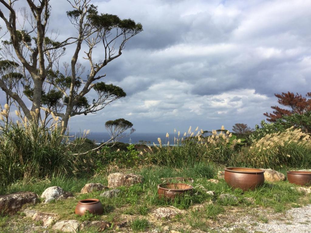 Surrounding environment