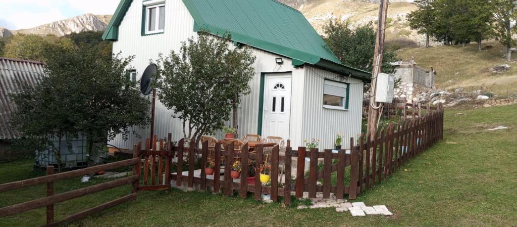 Planinski mir, Žabljak