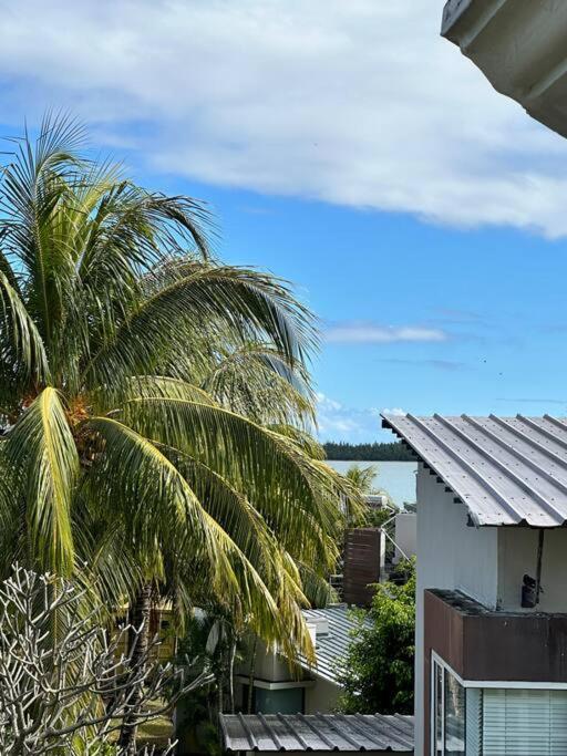 Les Dauphins Lataniers, La Gaulette