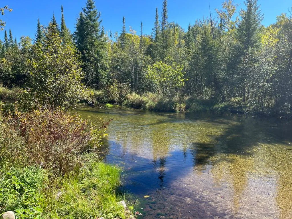 Sleeping Bear Riverside Cabins，位于Honor的酒店