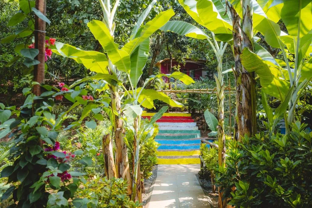 Samyama Retreat, hotel in Cola