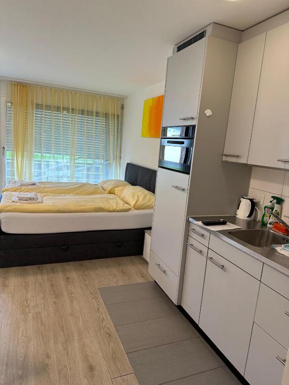 Studio 102 - Riverside, Interlaken