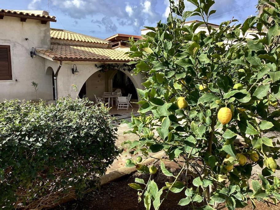 Villa Silvana - 2