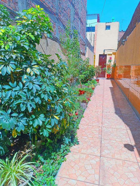 Samay Misti Hostal - 3