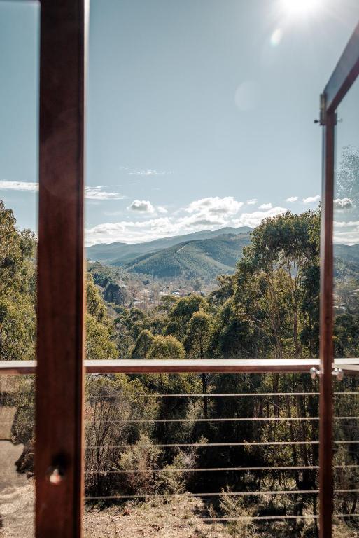 The Odd Frog, Bright