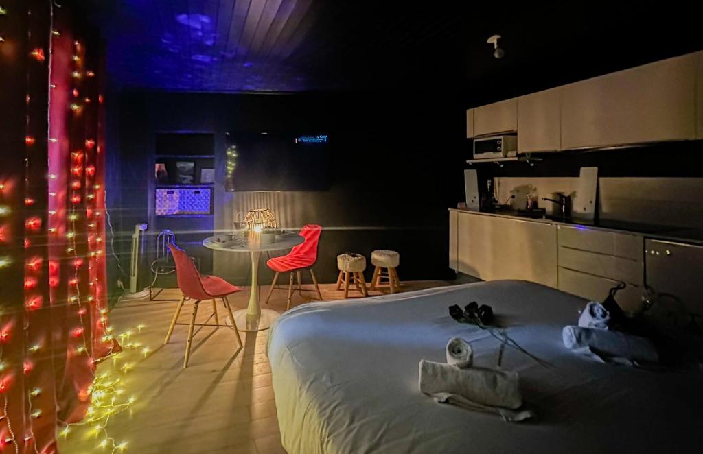 Loveroom Adults Only jacuzzi vieille ville Annecy - 3