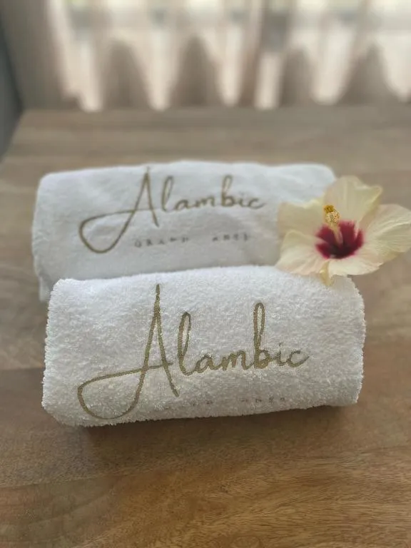 Alambic de Grand Anse，位于珀蒂蒂勒的酒店