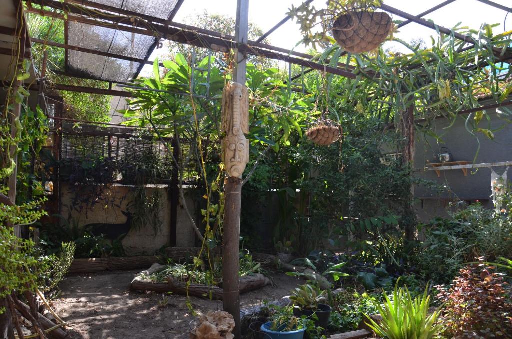 Old City Charm, Beerševa